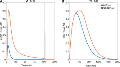 Model predictive control of cancer cellular dynamics: a new strategy for therapy design